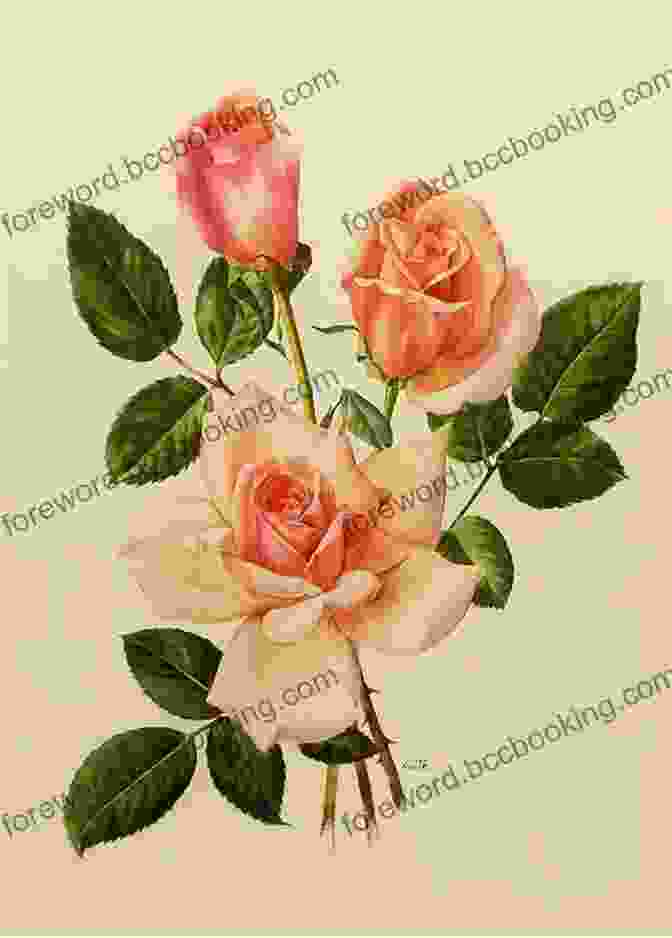 A Beautiful Botanical Artwork Of A Rose Made From Paper. Just Draw Botanicals: Beautiful Botanical Art Contemporary Artists Modern Materials