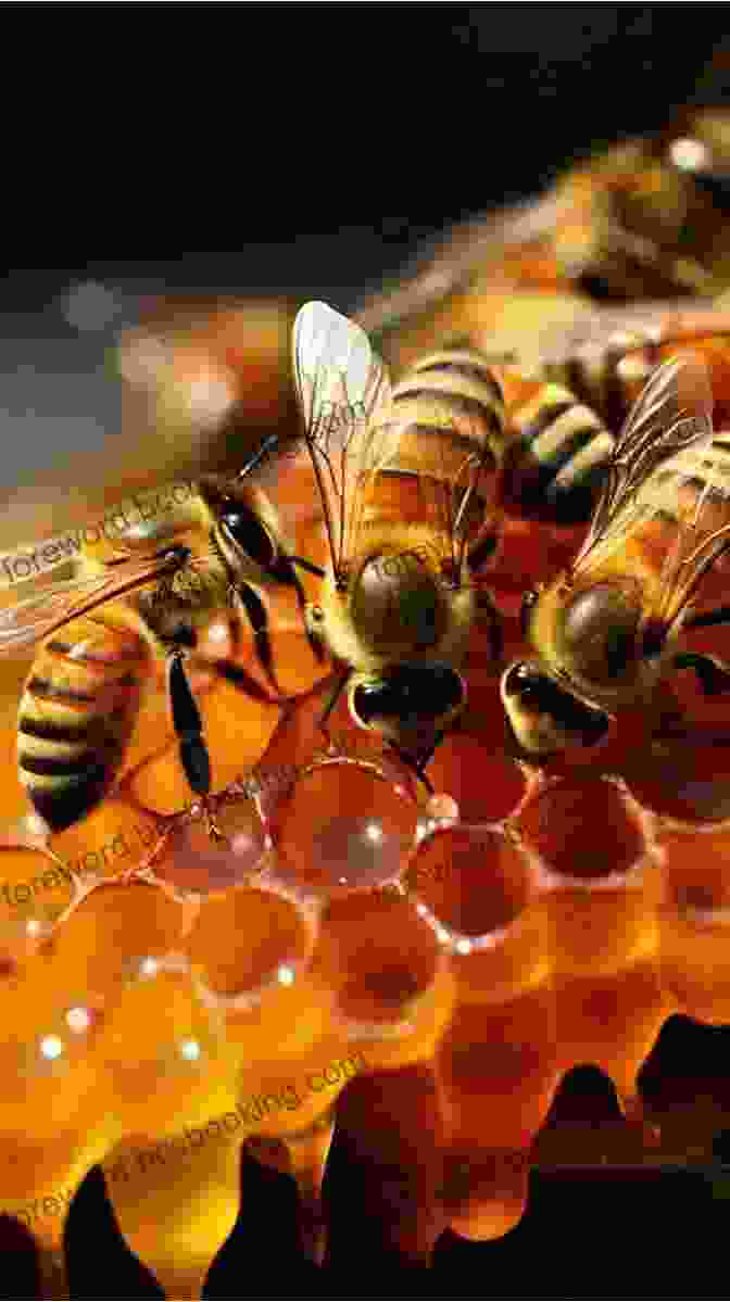 A Bustling Beehive Teeming With Activity The Way Of The Hive: A Honey Bee S Story