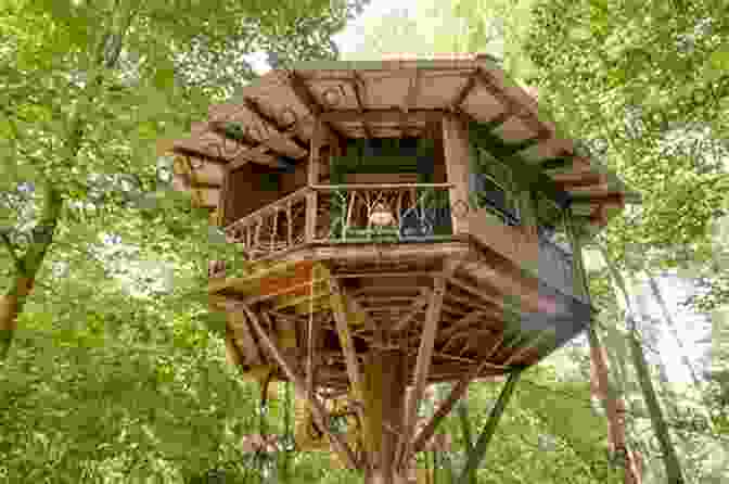 A Magical Treehouse Perched High Atop A Tall Tree. Magic Tree House 5 8 Ebook Collection: Mystery Of The Magic Spells (Magic Tree House (R) 2)