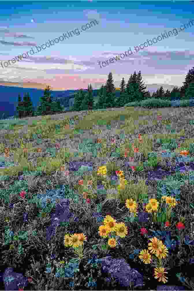 A Photo Of A Person Standing In A Field Of Wildflowers With A Mountain Range In The Background Living By Stories: A Journey Of Landscape And Memory