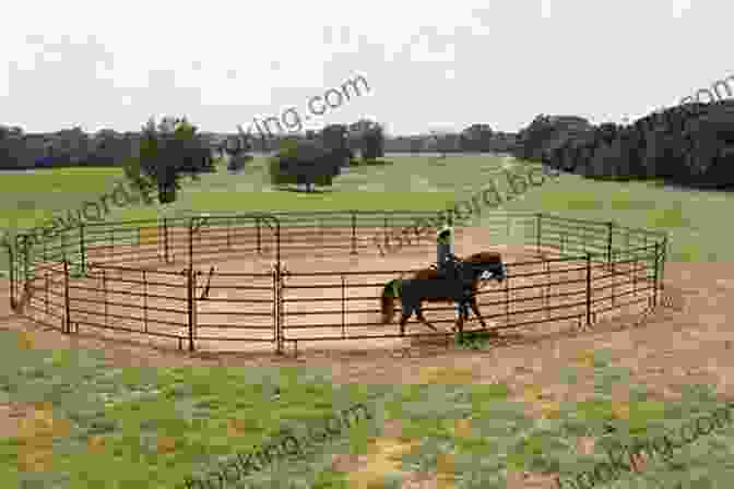 A Rider And Horse Gracefully Circling In A Round Pen Wisdom From The Round Pen: 10 Day Bible Study Using Horsemanship Principles To Grow Your Faith In Christ