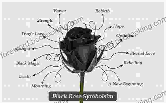 A Vibrant Bouquet Of Blooming Black Roses, Symbolizing The Resilience And Strength Of Black Women Black Roses: Odes Celebrating Powerful Black Women