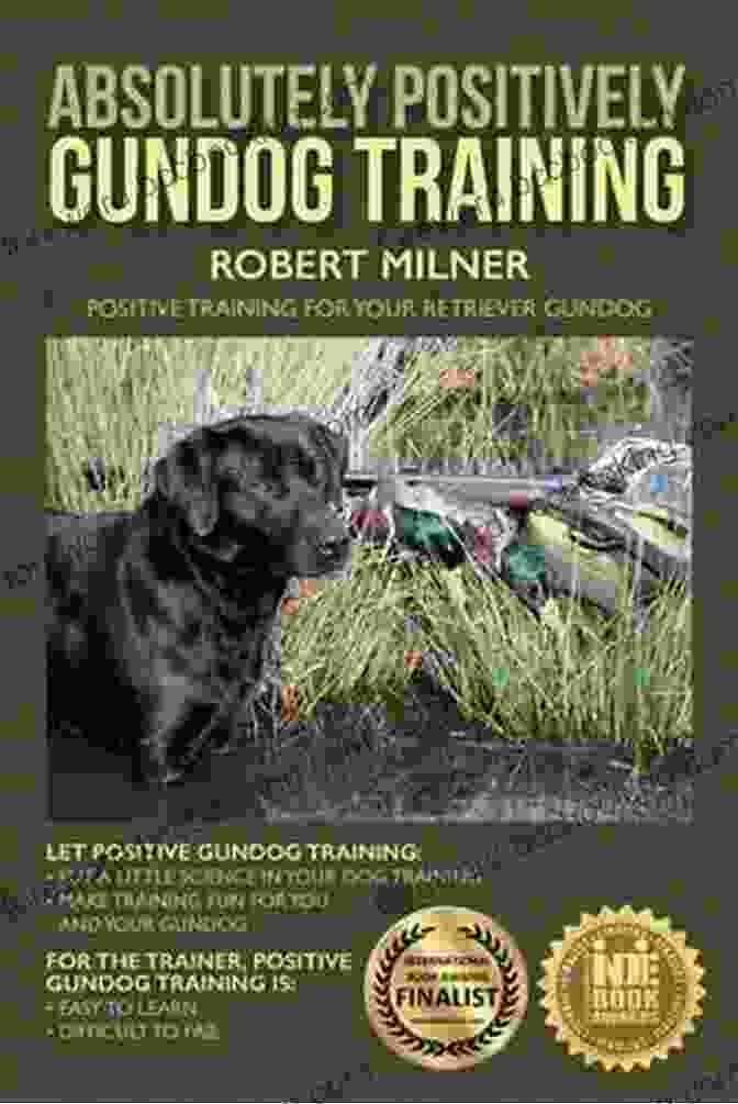 Absolutely Positively Gundog Training Cover Image Depicting A Trainer And Gundog In The Field Absolutely Positively Gundog Training: Positive Training For Your Retriever Gundog