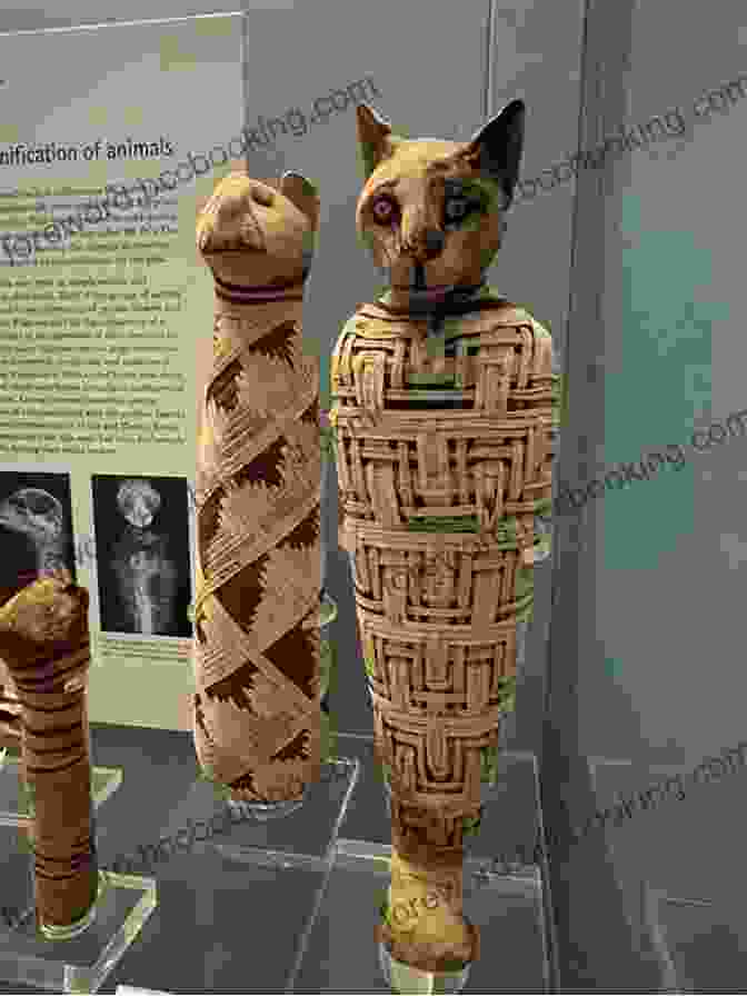 Ancient Egyptian Hieroglyphs Depicting A Cat Mummy Cat Mummies Kelly Trumble