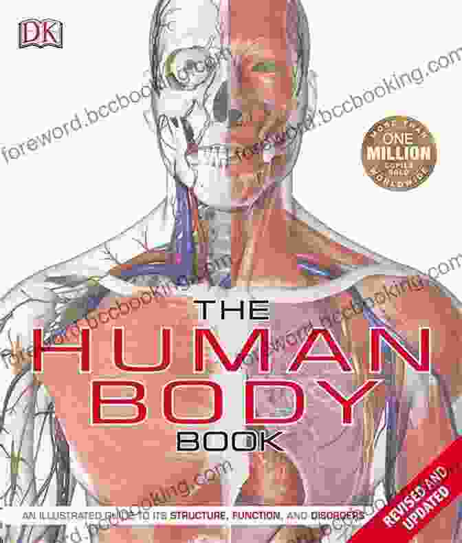 Artistic Anatomy Of The Human Figure Book Cover ARTISTIC ANATOMY OF THE HUMAN FIGURE