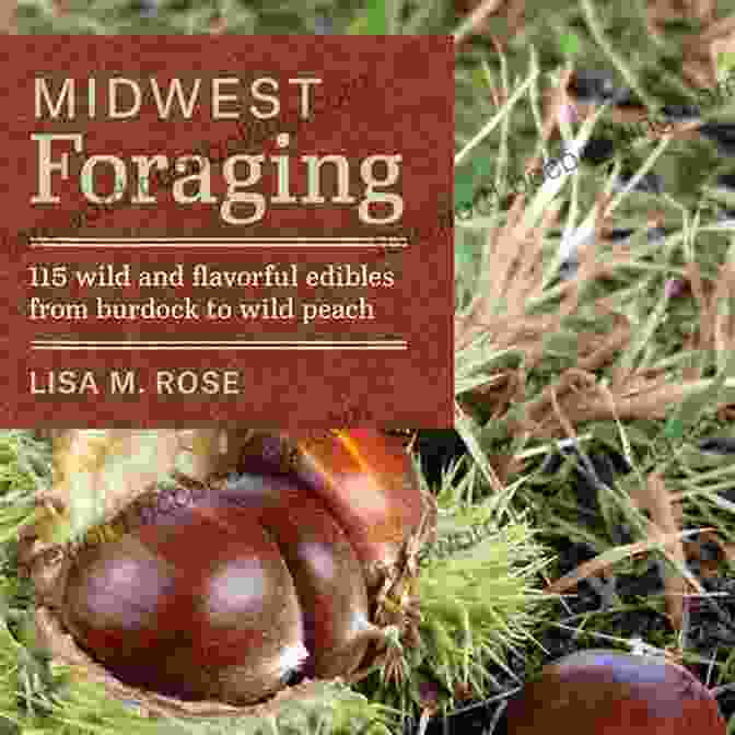 Book Cover Of 115 Wild And Flavorful Edibles From Burdock To Wild Peach Regional Foraging, Featuring A Vibrant Collage Of Wild Edible Plants Midwest Foraging: 115 Wild And Flavorful Edibles From Burdock To Wild Peach (Regional Foraging Series)