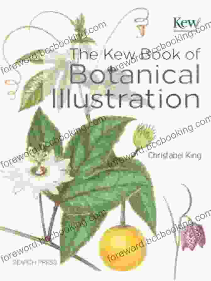 Botanical Observation And Dissection Techniques Showcased In 'The Kew Of Botanical Illustration' The Kew Of Botanical Illustration