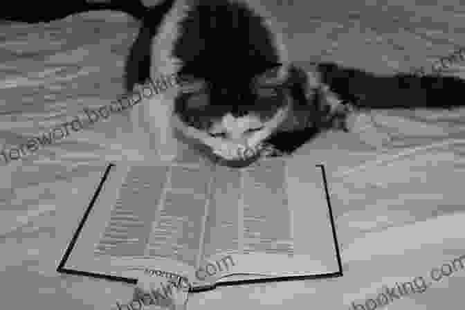 Cat In The Bible The Cat S Story (The Animals Of The Bible)