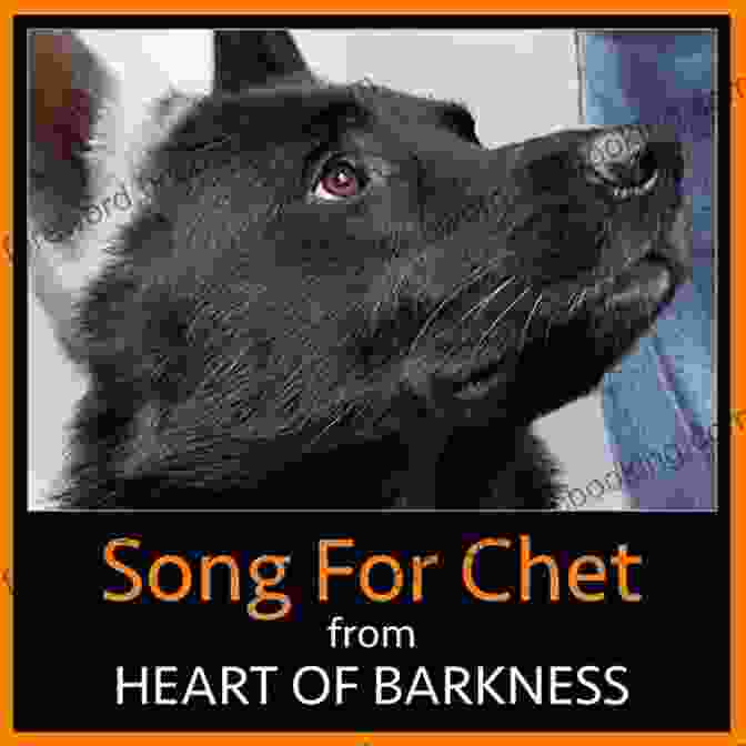 Chet And Bernie Fleeing From Danger, Their Faces Filled With Fear And Determination Paw And Free Download: A Chet And Bernie Mystery (The Chet And Bernie Mystery 7)