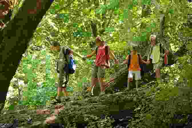Children Exploring A Forest Forest: A See To Learn