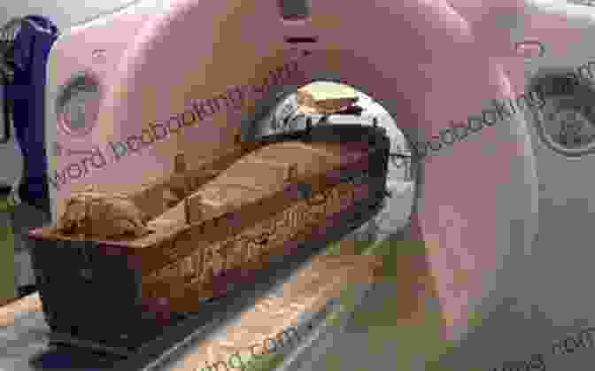 CT Scan Of A Cat Mummy Showing Its Internal Structure Cat Mummies Kelly Trumble