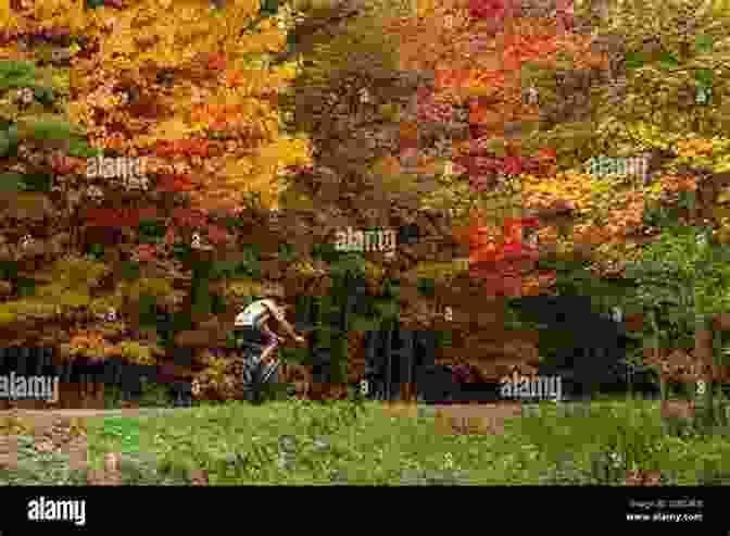 Cyclist Riding Through A Tunnel Of Vibrant Fall Foliage On A Coastal Trail Moon Acadia National Park: Seaside Towns Fall Foliage Cycling Paddling (Travel Guide)