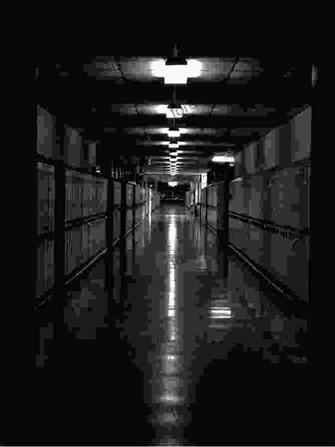 Dark And Eerie Hallway Of Faithgirlz Boarding School Poisoned (Faithgirlz / Boarding School Mysteries 4)