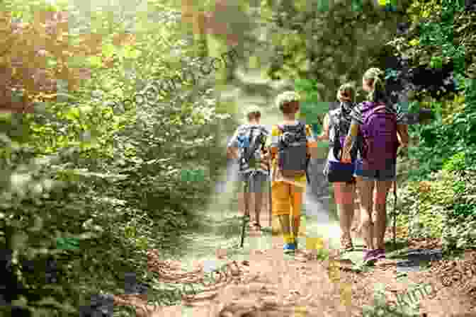 Family Hiking Along A Scenic Trail In The Black Hills Black Hills Family Fun Guide: Explore South Dakota S Badlands Devils Tower Black Hills