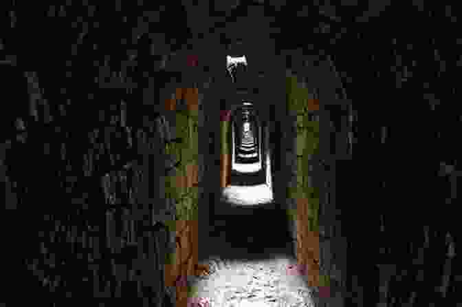Hidden Secret Passageway Leading To The School's Darkest Secrets Poisoned (Faithgirlz / Boarding School Mysteries 4)