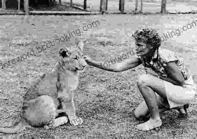 Joy Adamson Sitting On The Ground, Surrounded By A Group Of Lions Living With George Adamson And The Lions Of Kora: A Tale Of Africa Bees And Fear (African And Asian Interludes 1)