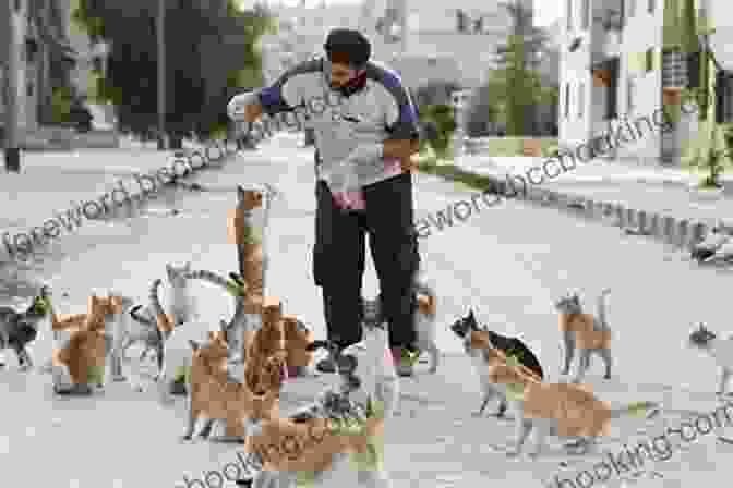 Mohammad Alaa Aljaleel With A Group Of Cats In Aleppo The Cat Man Of Aleppo