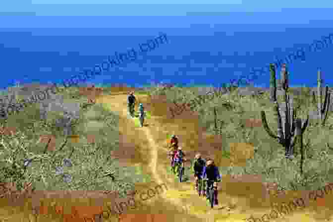 Mountain Biking In Los Cabos Top 5 Adventures In Los Cabos