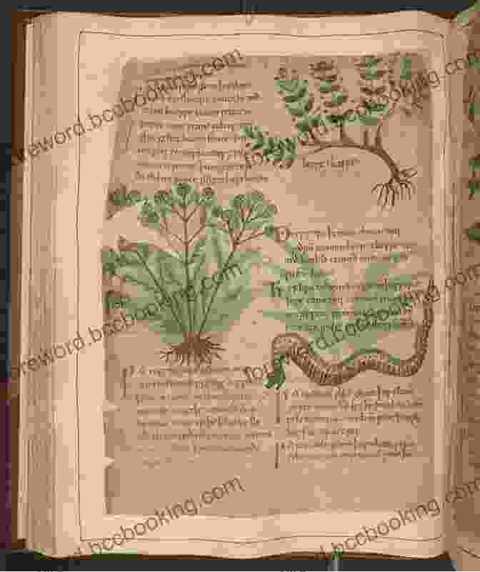 Natural History Manuscript With Ancient Illustrations Delphi Complete Works Of Pliny The Elder (Illustrated) (Delphi Ancient Classics 53)