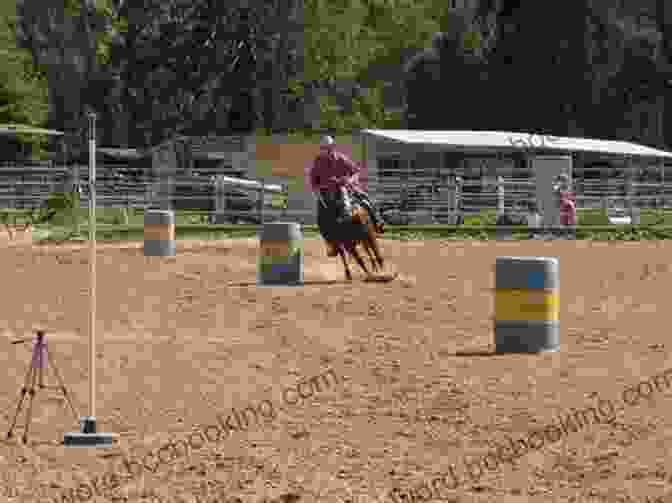 Pole Work Barrel Racing Exercise The First 51 Barrel Racing Exercises To Develop A Champion (BarrelRacingTips Com 2)