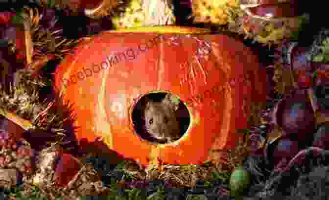 Pumpkin Falls Emerging From The Darkness, Renewed Yours Truly (A Pumpkin Falls Mystery)