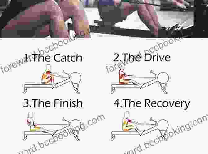 Sequence Of The Rowing Stroke What You May See Is Different Than Rick Macci: Learning Optimal Stroke Mechanics