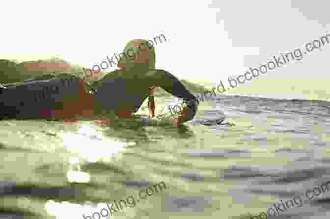 Surfer Paddling Out At A Secluded Beach On The Sea Of Cortez The Surfer S Guide To Baja