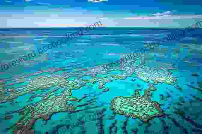 The Great Barrier Reef Is The World's Largest Coral Reef System. Unbelievable Pictures And Facts About Australia
