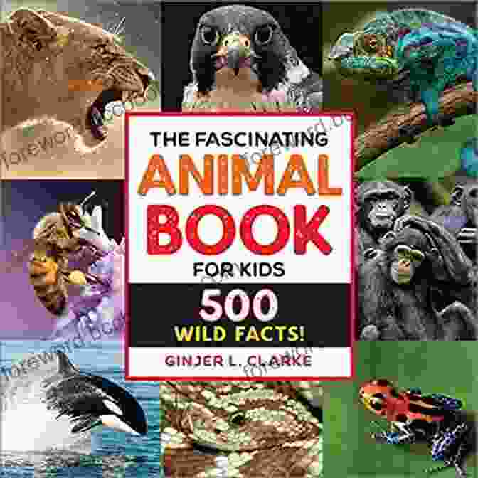 Wild Wild Wildlife Book Cover With Vibrant Illustrations Of Animals And Plants Wild Wild Wildlife Hiroaki Samura