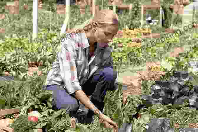 Woman Tending To A Vegetable Garden The Northern Farm: A Glorious Year On A Small Maine Farm