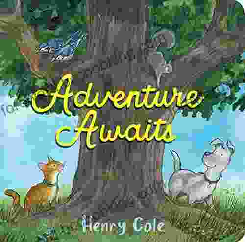 Adventure Awaits Henry Cole
