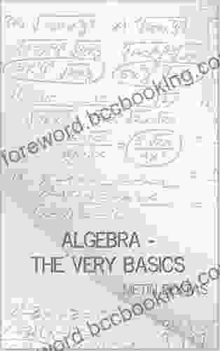 Algebra The Very Basics