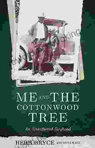 Me And The Cottonwood Tree: An Untethered Boyhood