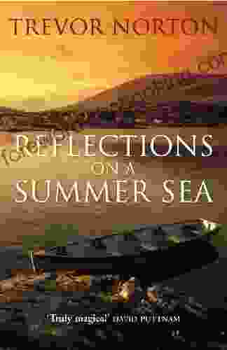Reflections On A Summer Sea