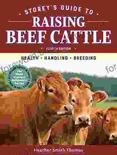 Storey S Guide To Raising Beef Cattle 4th Edition: Health Handling Breeding (Storey S Guide To Raising)