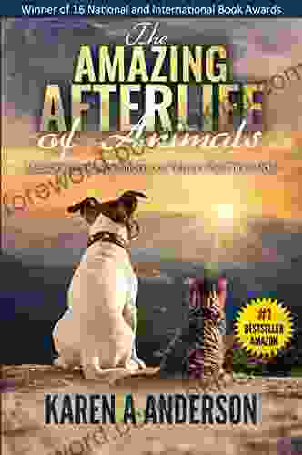 The Amazing Afterlife Of Animals: Messages And Signs From Our Pets On The Other Side
