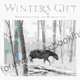 Winter S Gift (Holdiay) Jane Monroe Donovan